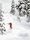 Lib Tech Orca 153 2023 Snowboard