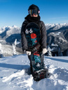 Lib Tech Dynamiss 153 2023 Snowboard