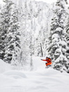 Bent Metal Forte 2023 Snowboard-Bindung