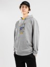 Vans Skate Graphic Sweat à Capuche