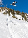 Salomon Assassin Pro 156 2023 Snowboard