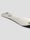Salomon Bellevue 152 2023 Splitboard
