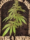 Dravus Hemp T-Shirt