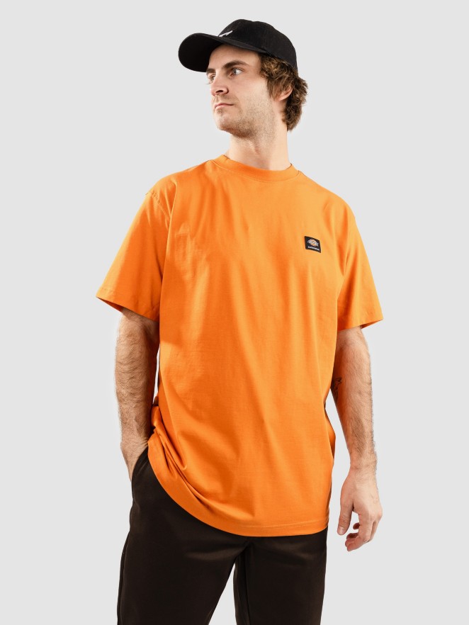 Dickies Mount Vista T-shirt