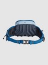 Amplifi Hipster 4L Hip Bag