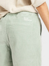 Blue Tomato Cord Easy Shortsit