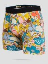 Stance Cloud Cover Calzoncillos