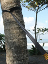 Ticket To The Moon MoonStraps webbing (2x250cm)