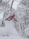 Elevated Surf Craft Redtail Hawk 5'1 / 155 2023 Snowboard