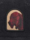 Pass Port Blood Hound 6 Panel Boné