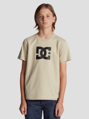 DC Star T-Shirt overcast kaufen