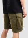 DC Tundra Cargo Pantaloncini