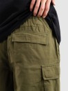 DC Tundra Cargo Pantaloncini