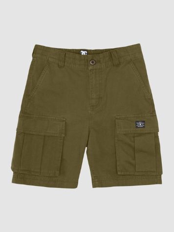 DC Tundra Cargo Shorts