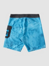 DC Sense All 17″ Kids Boardshorts