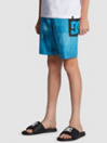 DC Sense All 17″ Kids Boardshorts