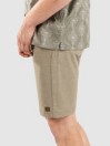 Billabong Crossfire Shorts