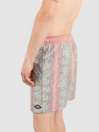 Billabong Wasted Times LB Boardshorts
