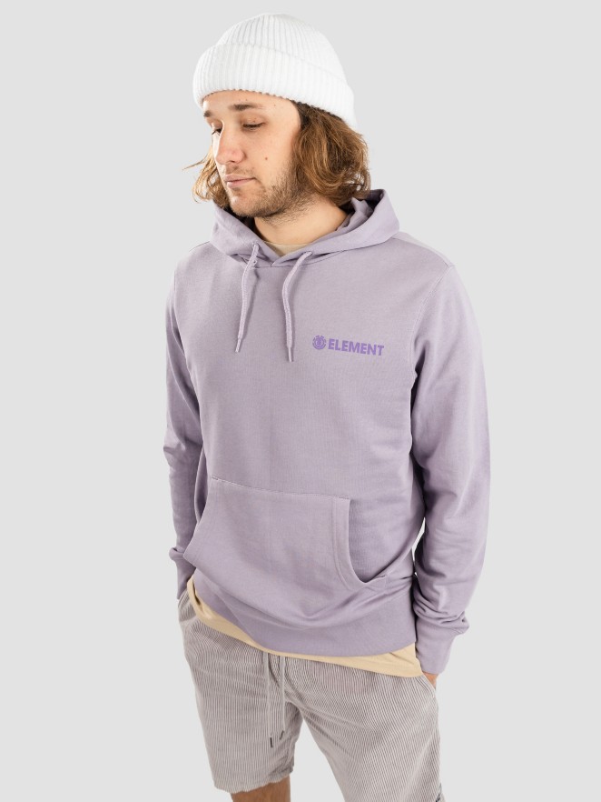 Element Blazin Chest Hoodie