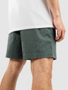 Element Valley Twill Shorts