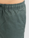 Element Valley Twill Shorts