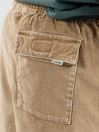 Element Cairn Cord Pantaloncini