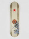 Chocolate Alvarez Peacock 8.0″ Skatebaord Deck Desk deskorolki