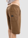 Volcom Outer Spaced 21 Shorts