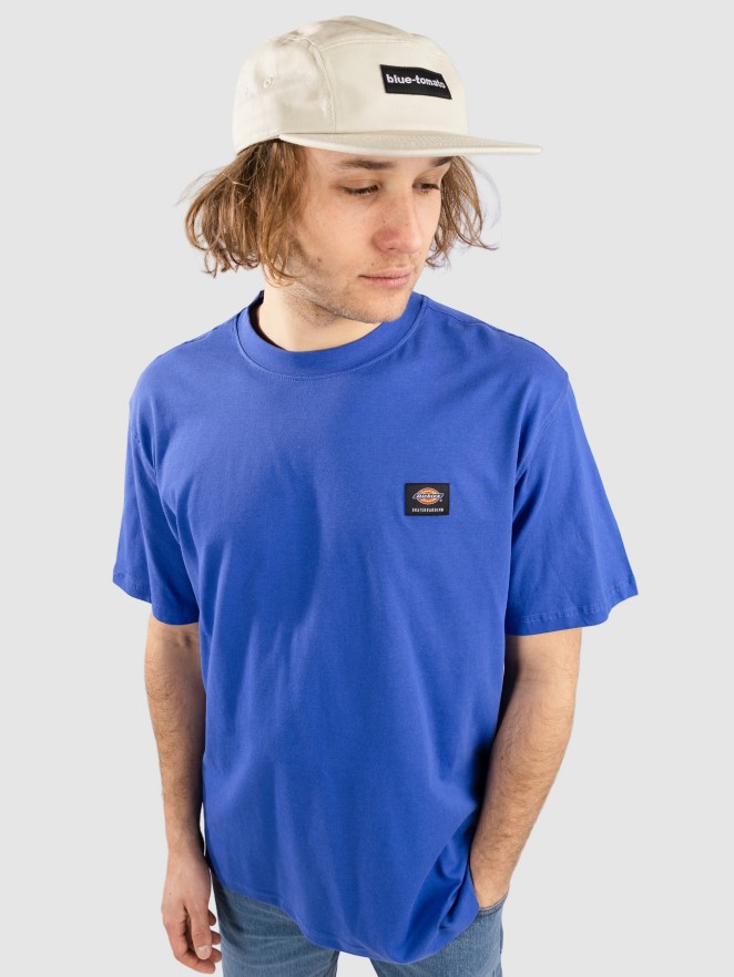 Dickies Mount Vista T-paita