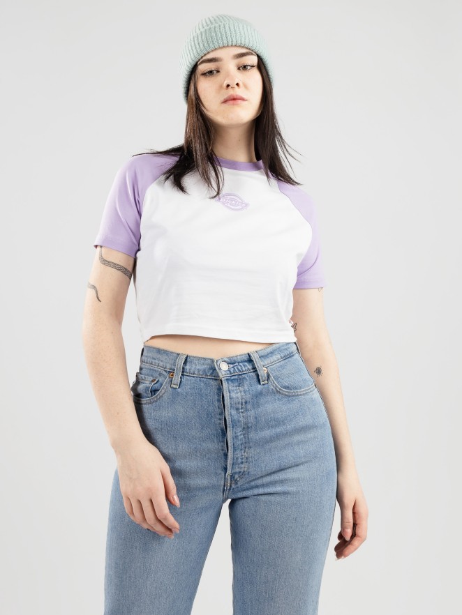 Dickies Sodaville T-Paita