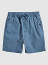 Quiksilver Taxer WS Shortsit
