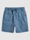 Quiksilver Taxer WS Shortsit