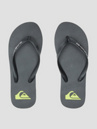 Quiksilver Molokai Core Sandálias