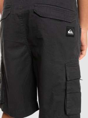 Cargo To Surf Shorts