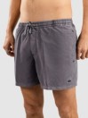 Quiksilver Everyday Surfwash Volley 15 Boardshorts