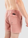 Quiksilver Everyday Surfwash Volley 15 Boardshorts