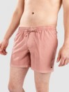 Quiksilver Everyday Surfwash Volley 15 Boardshorts