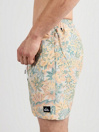 Quiksilver Re-Mix Volley 17Nb Boardshorts