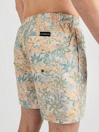 Quiksilver Re-Mix Volley 17Nb Boardshorts
