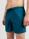 Quiksilver Deluxe 15 Boardshorts