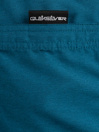 Quiksilver Deluxe 15 Boardshorts