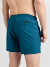 Quiksilver Deluxe 15 Boardshorts