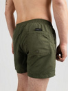 Quiksilver Deluxe 15 Boardshorts
