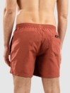 Quiksilver Deluxe 15 Boardshorts