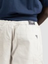 Quiksilver Saturn Shorts