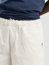 Quiksilver Saturn Shorts