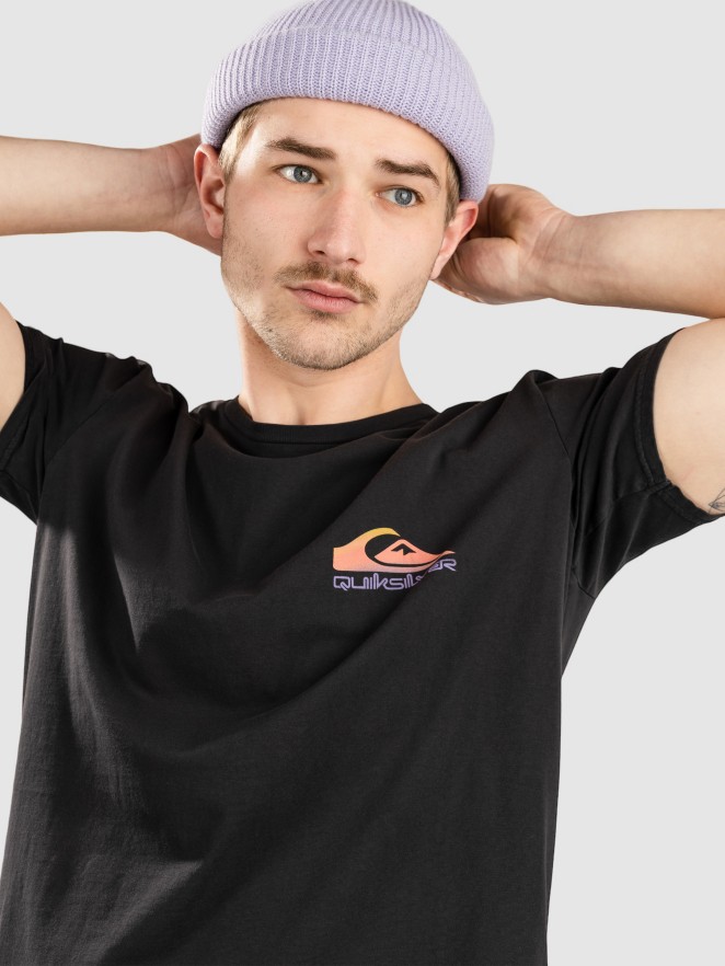 Quiksilver Pastime Paradise T-Shirt