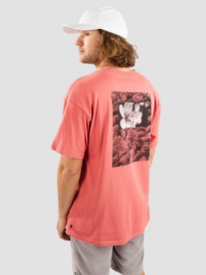 Nike SB Natural Borders Camiseta