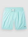 O'Neill Vert 14 Kids Boardshorts