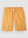 O'Neill Vert 14 Kids Boardshorts